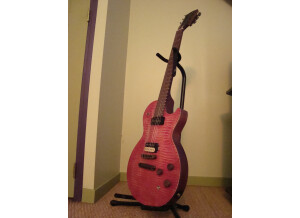 Gibson Les Paul BFG (38576)