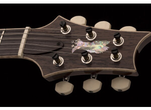 PRS Private Stock McCarty 594 “Graveyard Limited”