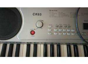 Delson CK65 (24001)