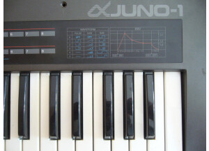 Roland JUNO-1 (64637)