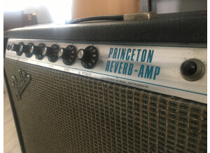 Fender Princeton Reverb "Silverface" [1968-1981] (92904)