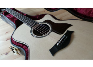 Taylor 814ce 2018   3