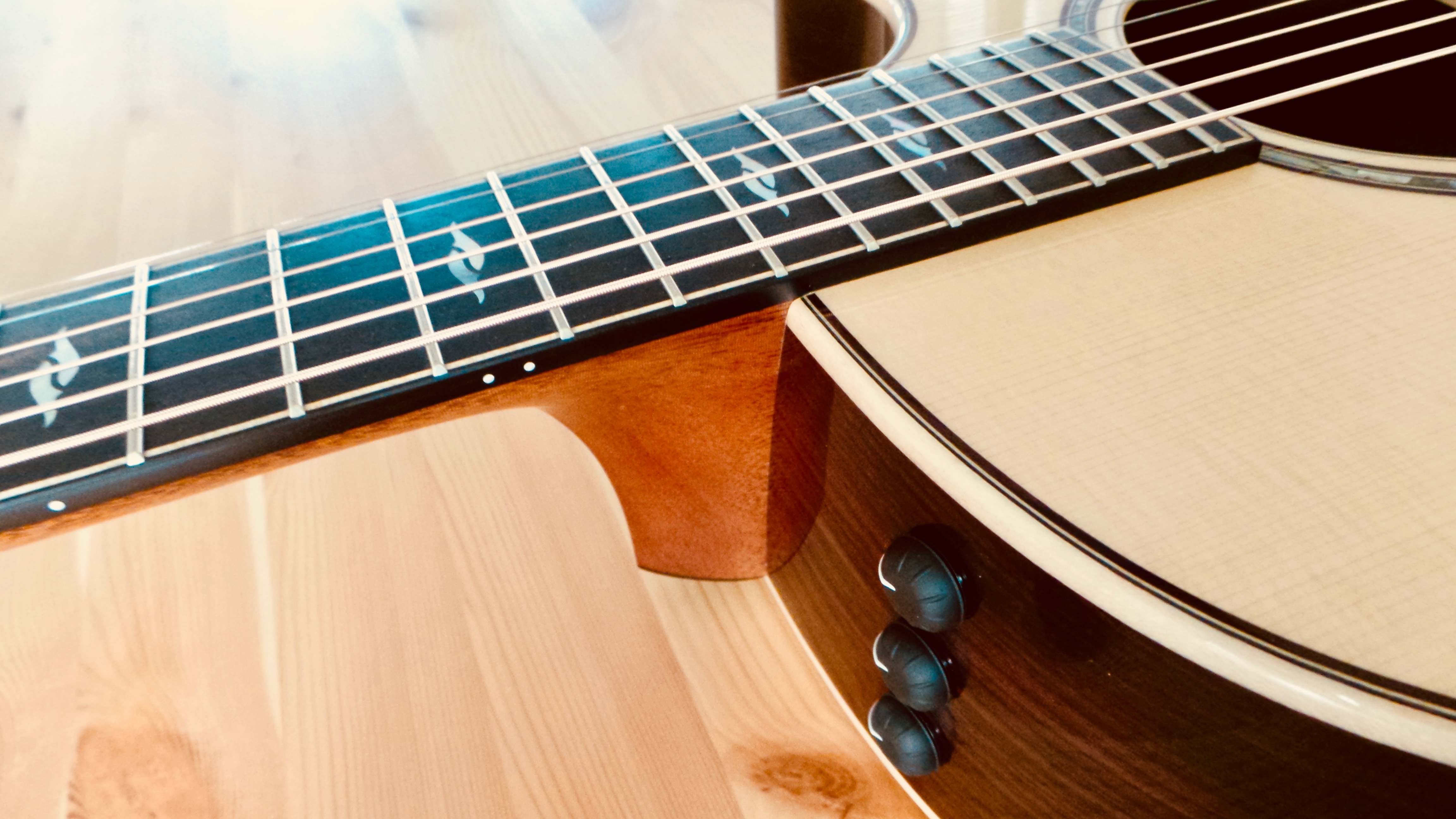 Taylor 814ce [2018-Current] : Taylor 814ce 2018 13