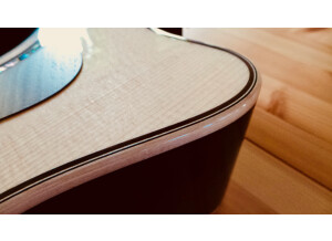 Taylor 814ce 2018   17