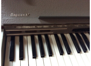 Hohner ORGANA 12 (67575)