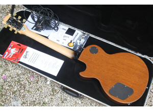 Gibson LPM 2015 (18985)