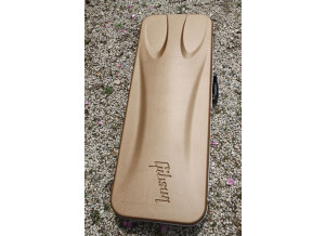 Music Man Steve Morse SM-Y2D (89672)