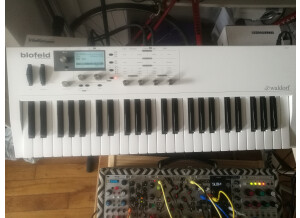 Waldorf Blofeld Keyboard (2797)