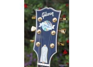Gibson Les Paul Supreme - Heritage Cherry Sunburst (58763)