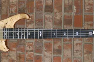 Alembic Mark King Deluxe 5