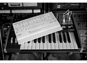 MiniBrute2 2tof 01.JPG