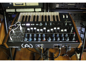 MiniBrute2 2tof 13.JPG