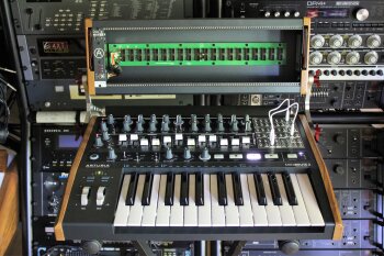 MiniBrute2 2tof 16.JPG MiniBrute2 2tof 16.JPG