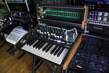 MiniBrute2 2tof 17.JPG MiniBrute2 2tof 17.JPG