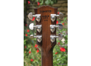 Gibson ES-339 2015 (62545)