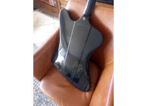 Gibson Firebird V 2010 - Ebony (96141)