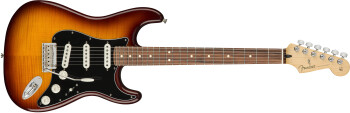 Fender Player Stratocaster Plus Top : Player Stratocaster Plus Top, Pau Ferro Fingerboard, Tobacco Sunburst
