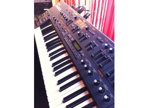 Roland JP-8000 (45648)