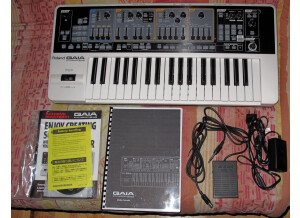 Roland GAIA SH-01 (38237)