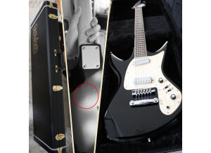 Eastwood Guitars Ichiban (99735)