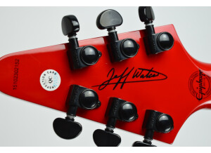 Epiphone Jeff Waters Annihilation-II Flying V Outfit (61674)