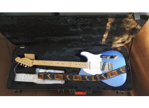 Fender American Standard Telecaster [2012-Current] (37944)