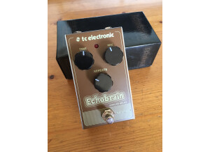 TC Electronic EchoBrain Analog Delay (68469)