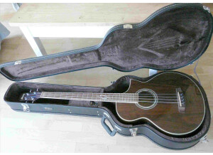 Ibanez EWB20WNE (3600)