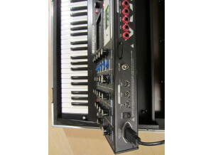 Moog Music Minimoog Voyager Anniversary 50th (70832)