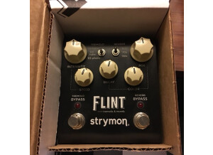 Strymon Flint (13430)