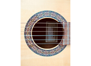 Alhambra Guitars 1C (65707)