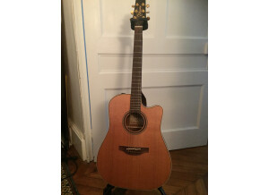 Takamine TAN10C-R