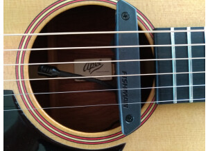 Fishman Rare Earth Mic Blend (61747)