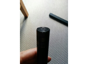 DPA Microphones 4011TL (36176)