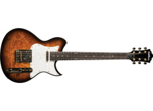washburn idol 2018 vintage sunburst