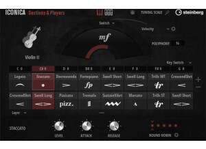 Iconica Sections & Players Cellrack Full
