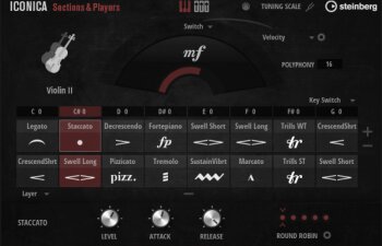 Iconica Sections & Players Cellrack Full Iconica Sections & Players Cellrack Full