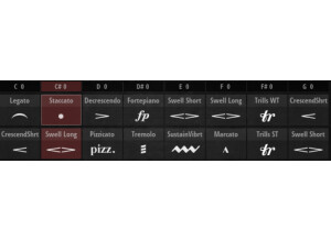 Iconica Sections & Players Cellrack Detail