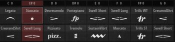 Iconica Sections & Players Cellrack Detail Iconica Sections & Players Cellrack Detail