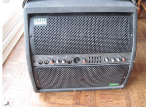 Trace Acoustic TA100R (43070)