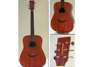 Tanglewood TW400 (12478)