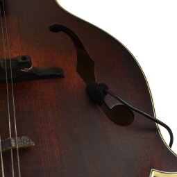 Mandolin Close Mandolin Close