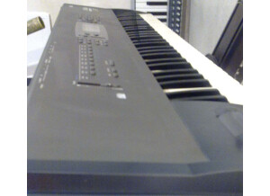 Korg N364 (21636)