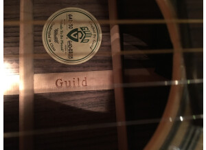 Guild GAD-50 (87426)