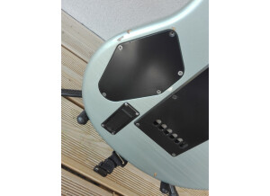 Music Man Luke (Vintage Tremolo) (70487)