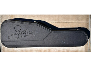 Status Electro 4 Fretless  1