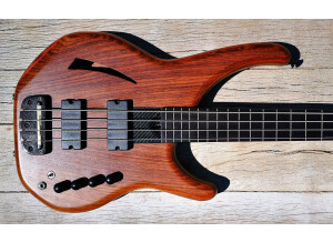 Status Electro 4 Fretless  4