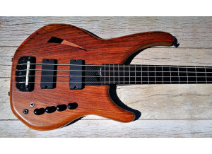 Status Electro 4 Fretless  6