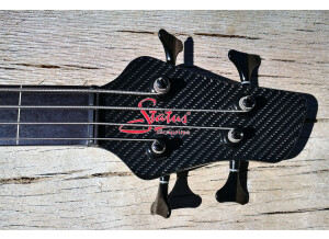 Status Electro 4 Fretless  8