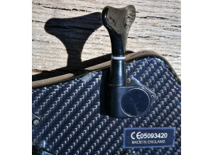 Status Electro 4 Fretless  12